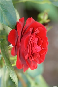 19427304-IMG_5234 Don Juan.jpg